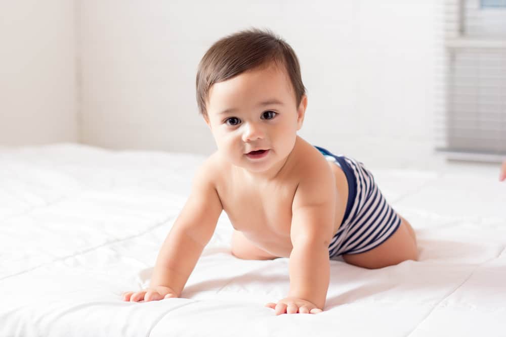 IVF
